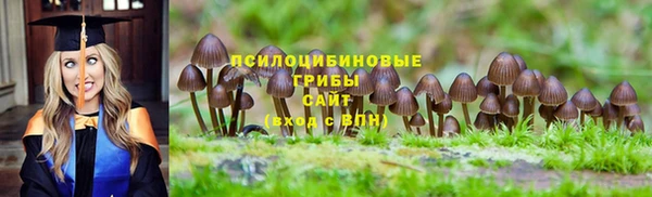 спиды Алексин