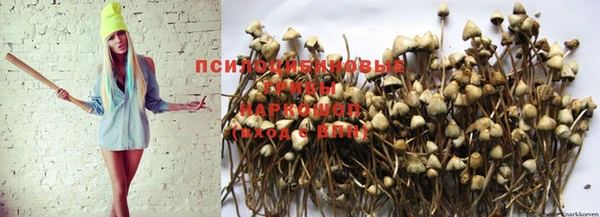 спиды Алексин