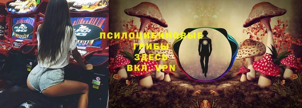 скорость Алексеевка