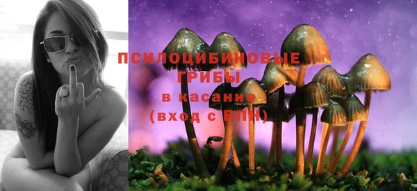 спиды Алексин
