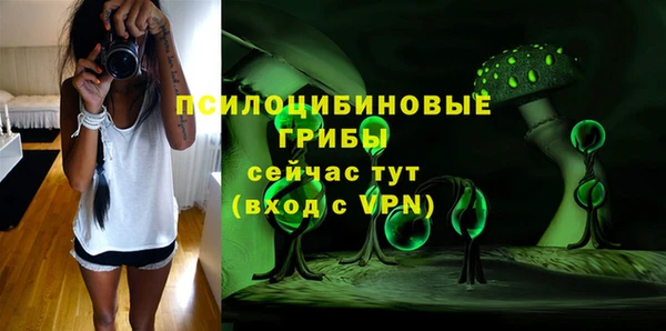 спиды Алексин